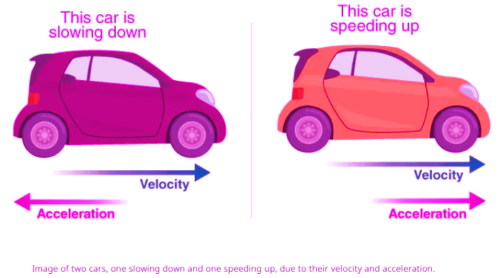 Straight-Line Motion: Connecting Position, Velocity, and Acceleration Chapter Notes | Calculus AB - Grade 9