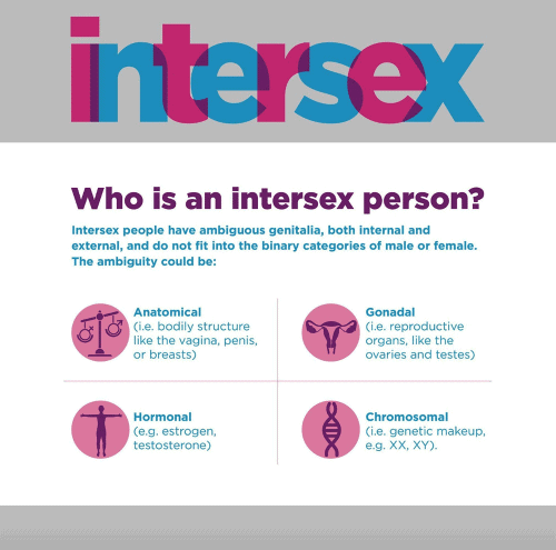 Gender and Sexual Orientation Chapter Notes | AP Psychology - Grade 11
