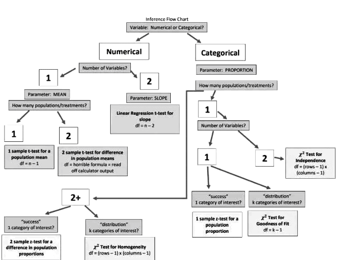 Skills Focus: Selecting an Appropriate Inference Procedure Chapter Notes | AP Statistics - Grade 9