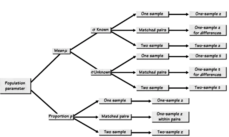 Skills Focus: Selecting an Appropriate Inference Procedure Chapter Notes | AP Statistics - Grade 9