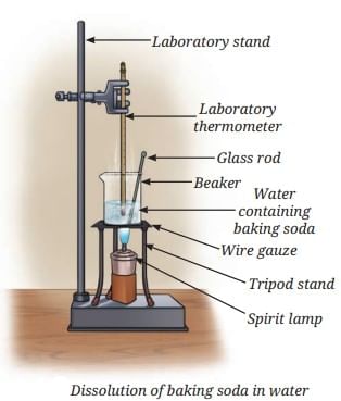 The Amazing World of Solutes, Solvents, and Solutions Chapter Notes | Chapter Notes For Class 8