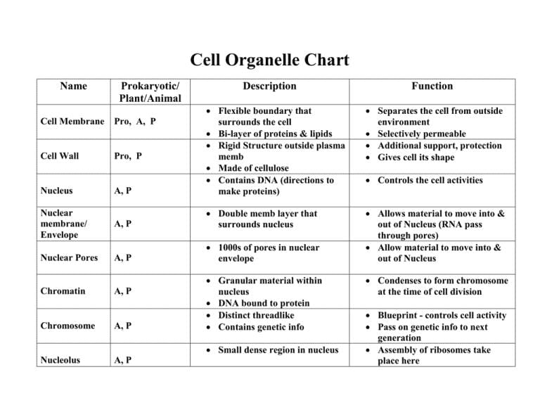Revision Notes: Cell - The Structural and Functional Unit of Life | Biology Class 10 ICSE