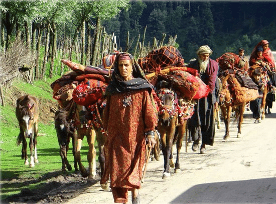 Banjaras