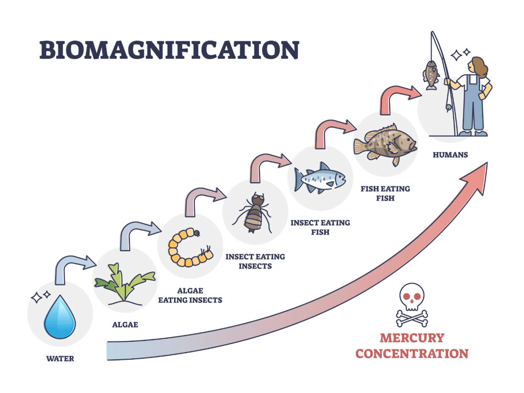 Unit Test (Solutions): Our Environment | Science Class 10