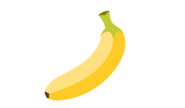 Worksheet Solutions: Foods We Eat - 1 | EVS for Class 3