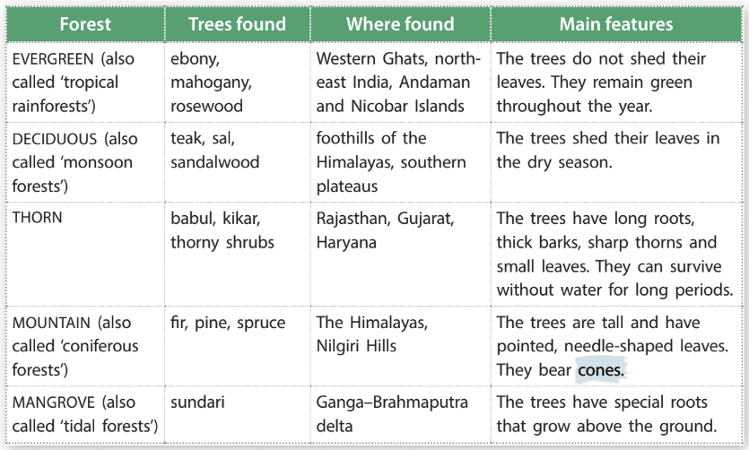 Forest and Wildlife Class 4 Notes SST