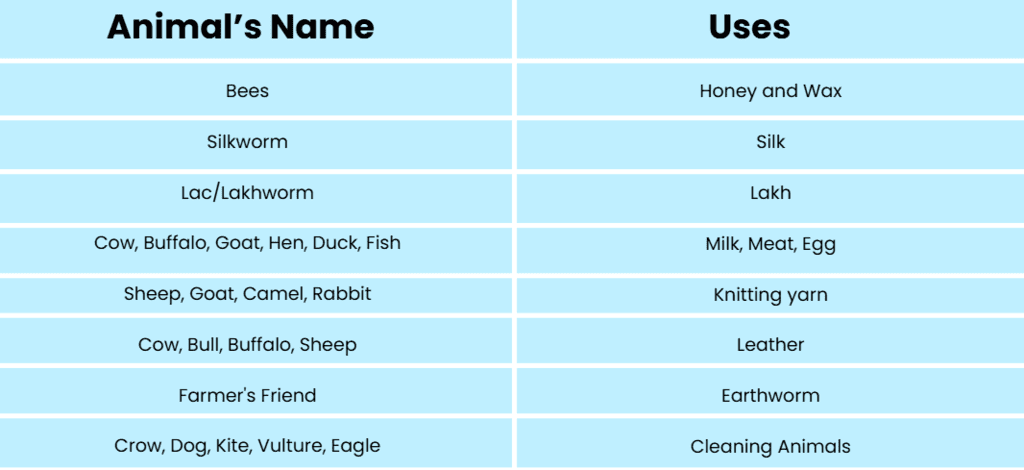 Notes: Animal Kingdom | EVS & Pedagogy Paper 1 for CTET & TET Exams - CTET & State TET