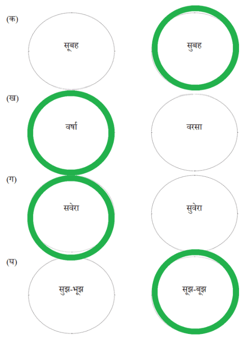 बीरबल की खिचड़ी NCERT Solutions | Hindi for Class 3 (वीणा)