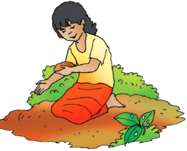 Plants and Animals Live Together Chapter Notes | EVS Class 3: The World around us (Our Wondrous World)