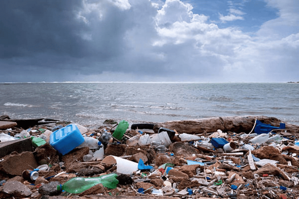 Electronic Waste - People, Development and Environment Notes