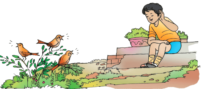 Plants and Animals Live Together Chapter Notes | EVS Class 3: The World around us (Our Wondrous World)