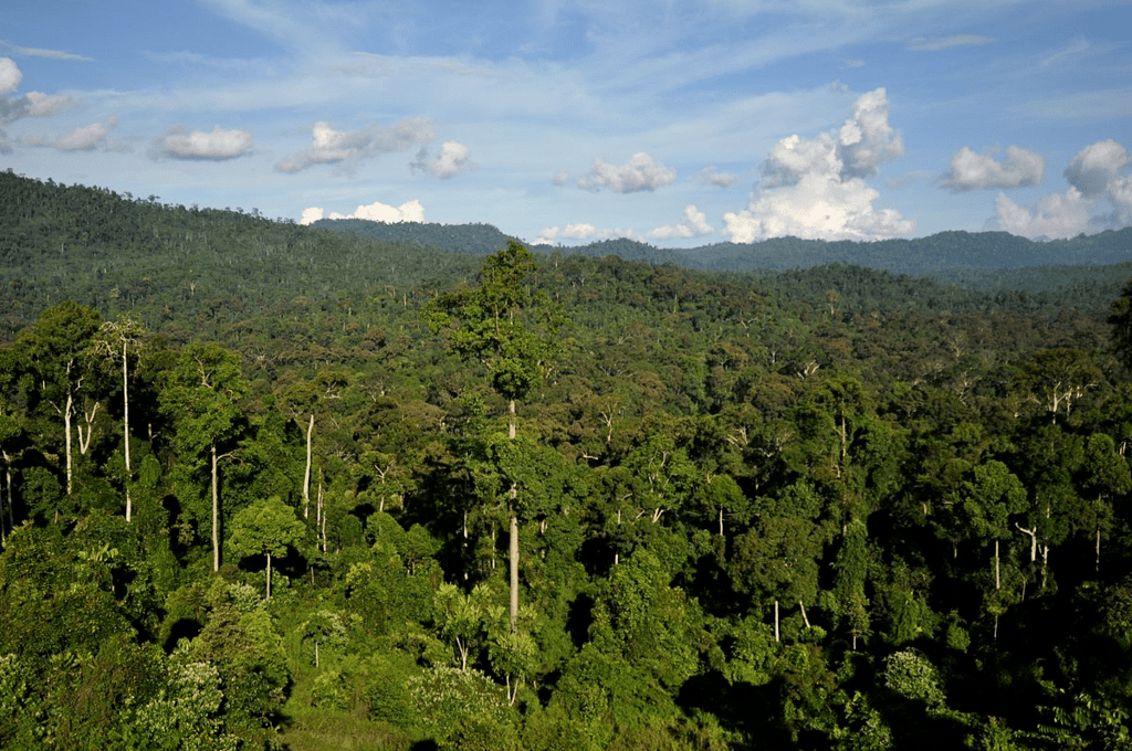 Class 9 History Chapter 4 Notes - Forest Society and Colonialism