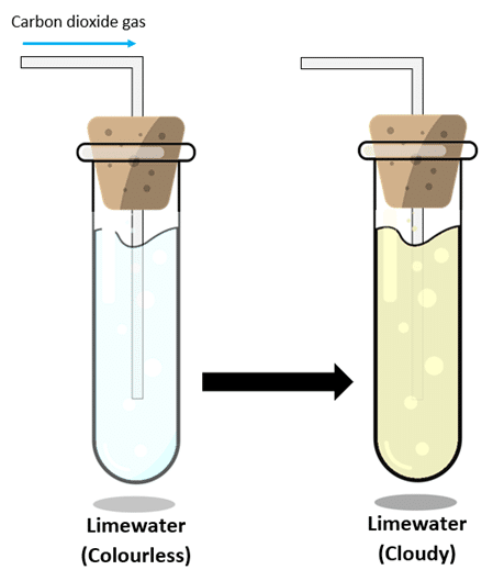 Class 10 Science Chapter 1 Assertion and Reason Questions - Chemical Reactions and Equations