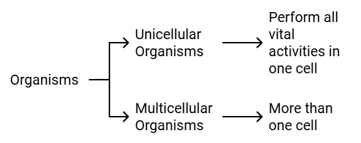 Cell: Structure and Functions Class 8 Notes Science