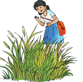 Worksheet: Getting to Know Plants | Worksheets with solutions for Class 3