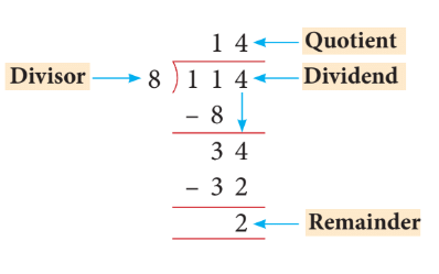Class 4 Maths - Division - CBSE Worksheets Solutions