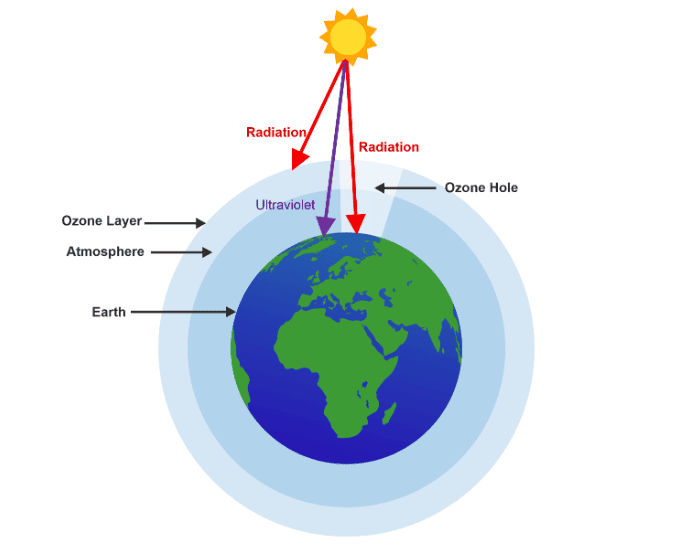 Class 10 Science Chapter 13 Question Answers - Our Environment