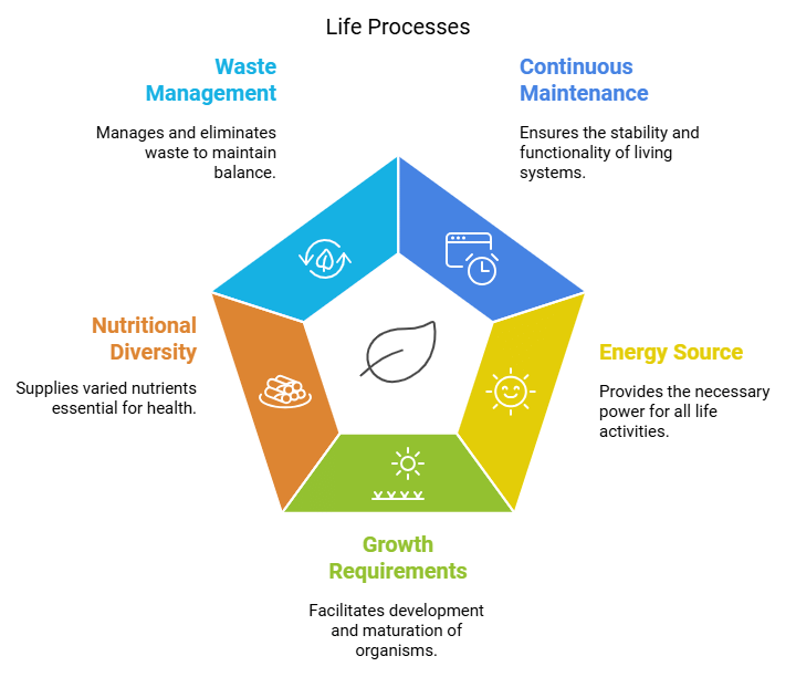 Life Processes Class 10 Notes Science Chapter 5