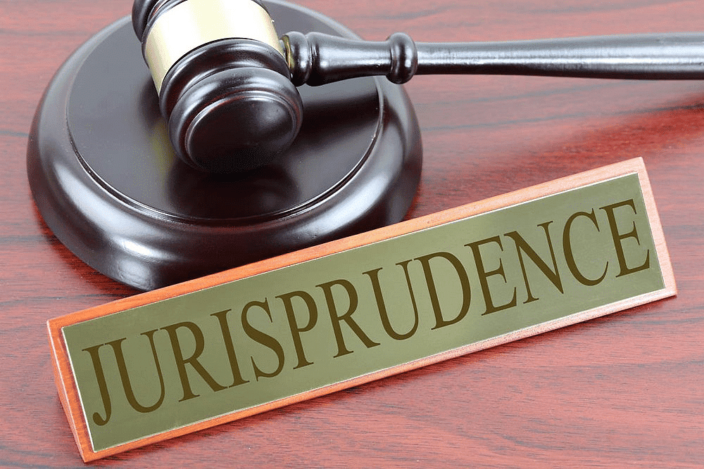 Jurisprudence, Nature and Meaning of Law | Legal Studies for Class 11 - Humanities/Arts