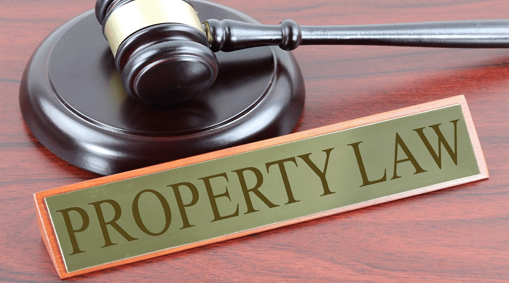 Law of Property Chapter Notes | Revision Notes for CUET Commerce Preparation