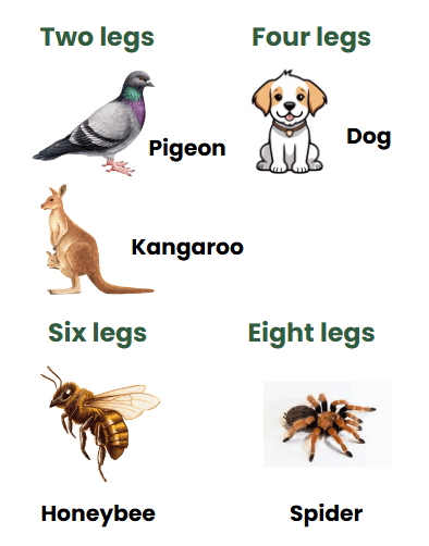 Living in Harmony NCERT Solutions | EVS Class 3: The World around us (Our Wondrous World)