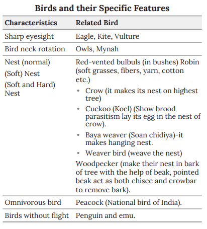 Notes: Animal Kingdom | EVS & Pedagogy Paper 1 for CTET & TET Exams - CTET & State TET
