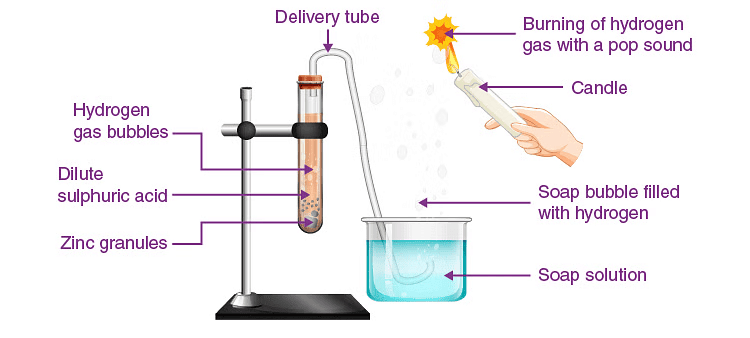 Overview: Acids, Bases and Salts | Science Class 10