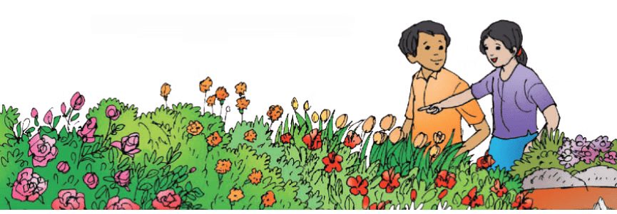Worksheet: Celebrating Festivals | Worksheets with solutions for Class 3