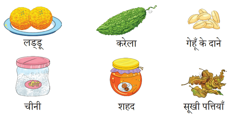 चींटी NCERT Solutions | Hindi for Class 3 (वीणा)