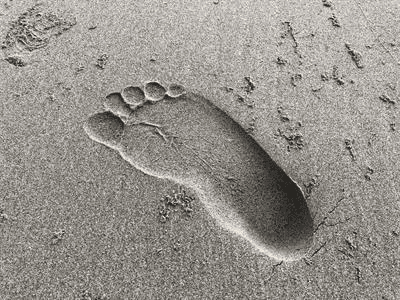 Footprints without Feet Summary Class 10 English Footprints without Feet Chapter 5