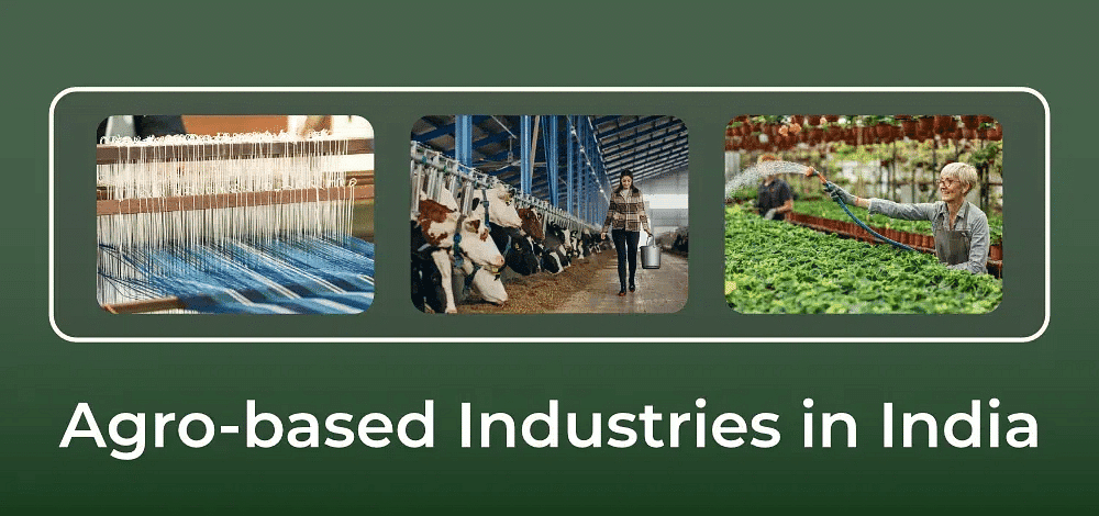Class 10 Geography Chapter 6 Notes - Manufacturing Industries
