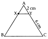 Unit Test (Solutions): Triangles | Mathematics (Maths) Class 10