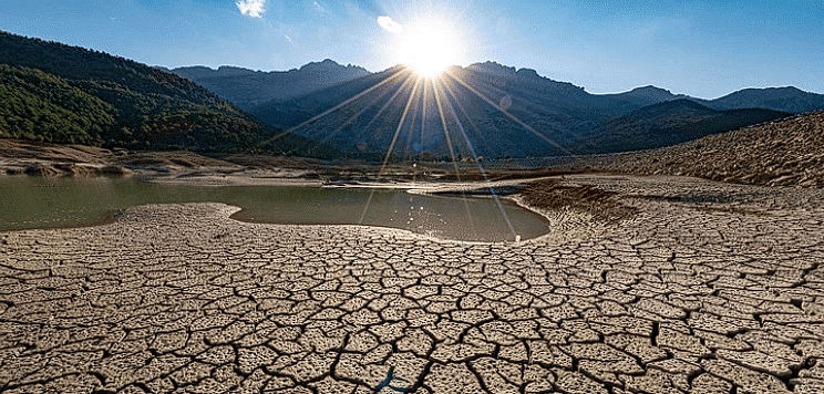 Conservation of Plants and Animals Class 8 Notes Science Chapter 5
