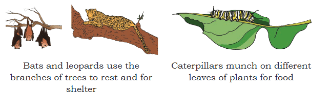 Plants and Animals Live Together Chapter Notes | EVS Class 3: The World around us (Our Wondrous World)