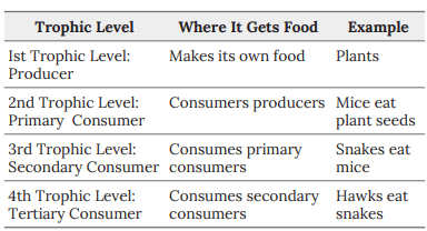 Notes: Food & Nutrition | EVS & Pedagogy Paper 1 for CTET & TET Exams - CTET & State TET