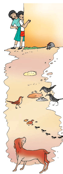 Living in Harmony NCERT Solutions | EVS Class 3: The World around us (Our Wondrous World)