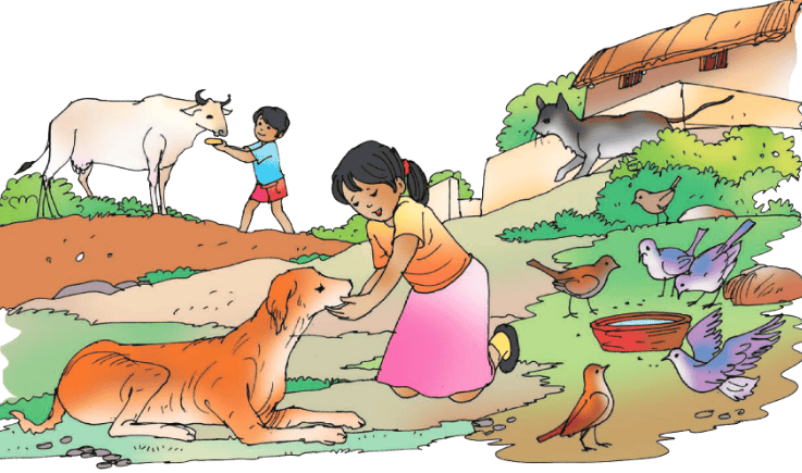 Living in Harmony Chapter Notes | EVS Class 3: The World around us (Our Wondrous World)