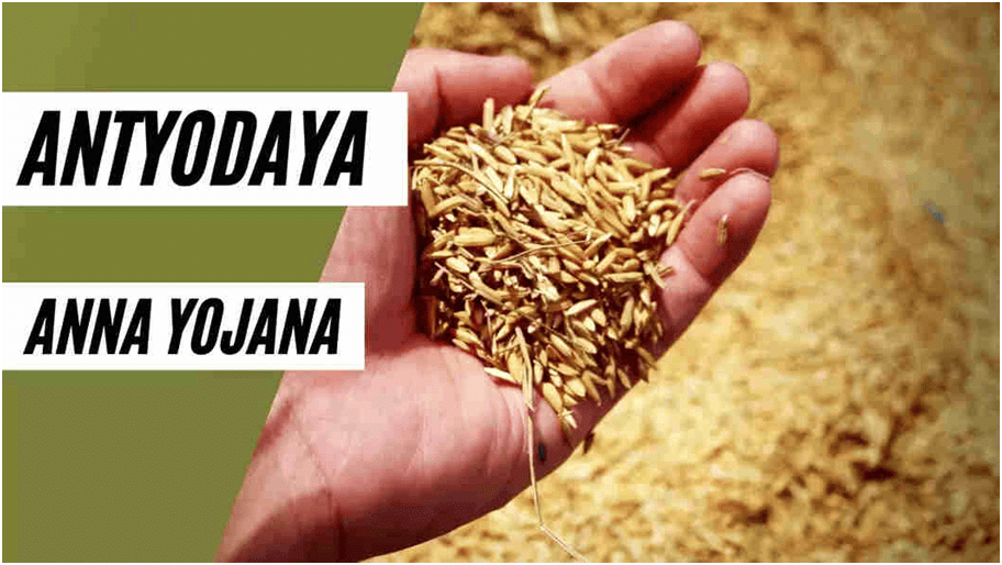 Class 9 Economics Chapter 4 Notes - Food Security in India
