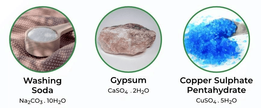 Overview: Acids, Bases and Salts | Science Class 10