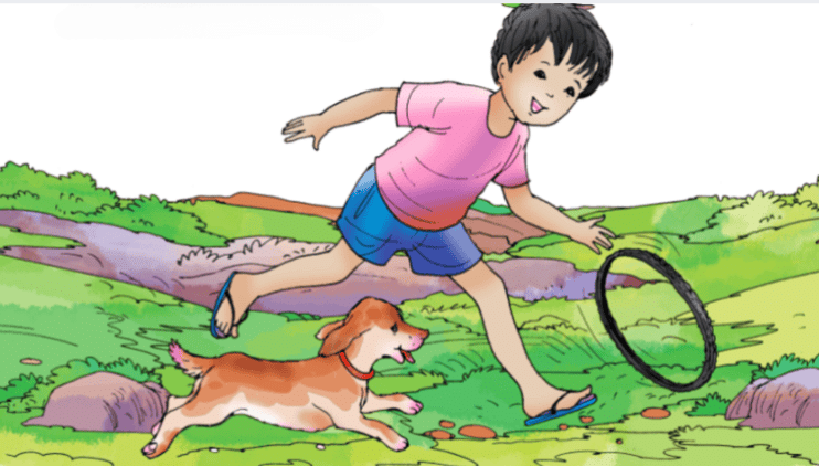 Worksheet Solutions: Badal and Moti | Worksheets with solutions for Class 3