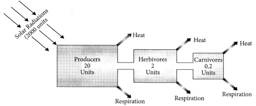 Unit Test (Solutions): Our Environment | Science Class 10