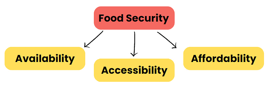 Class 9 Economics Chapter 4 Notes - Food Security in India