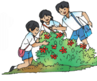 Getting to Know Plants Chapter Notes | EVS Class 3: The World around us (Our Wondrous World)