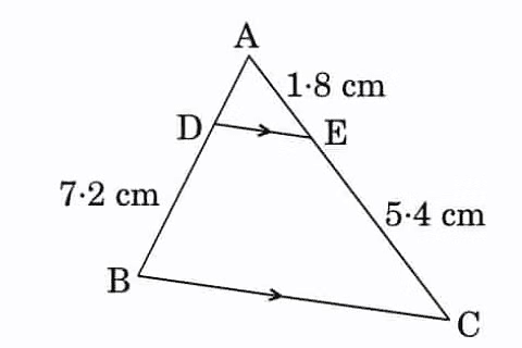 Unit Test: Triangles | Mathematics (Maths) Class 10