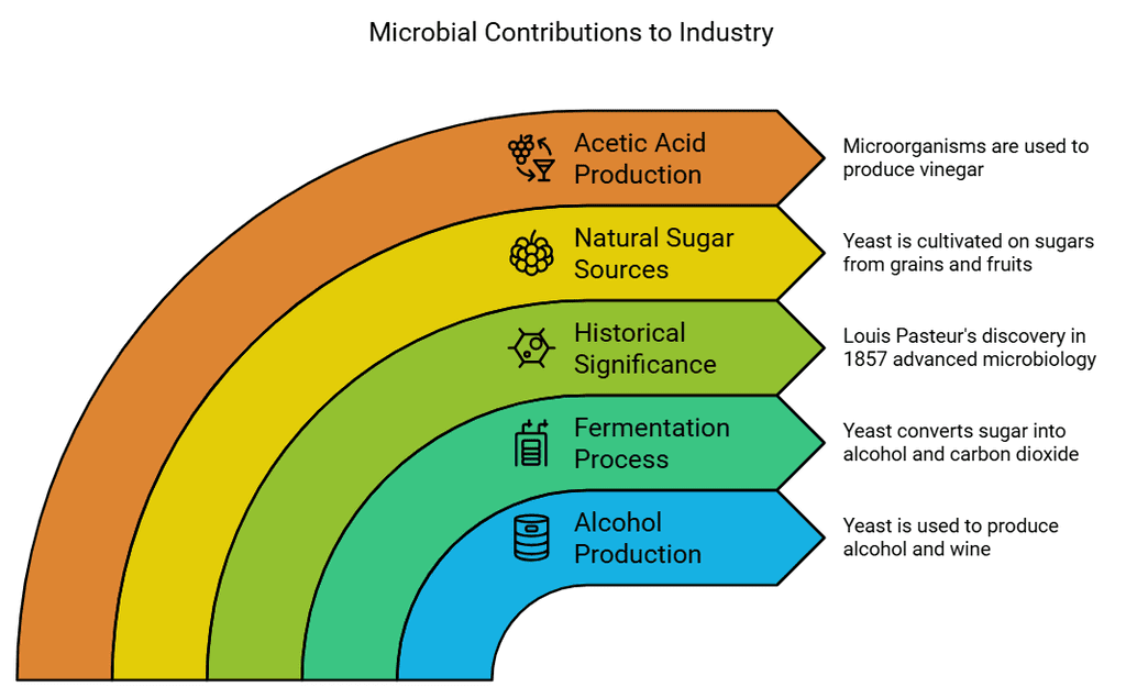 Microorganisms: Friend and Foe Class 8 Notes Science Chapter 2