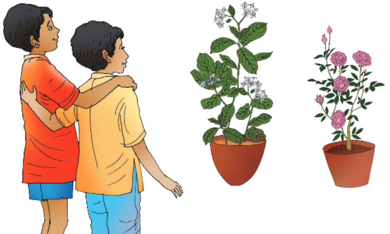 Living in Harmony Chapter Notes | EVS Class 3: The World around us (Our Wondrous World)