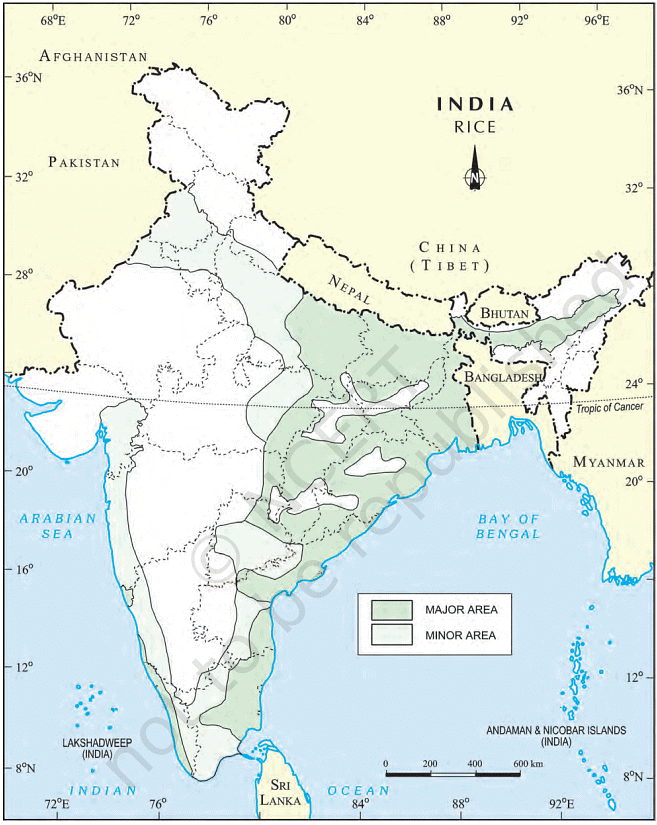 Class 10 Geography Chapter 4 Notes - Agriculture