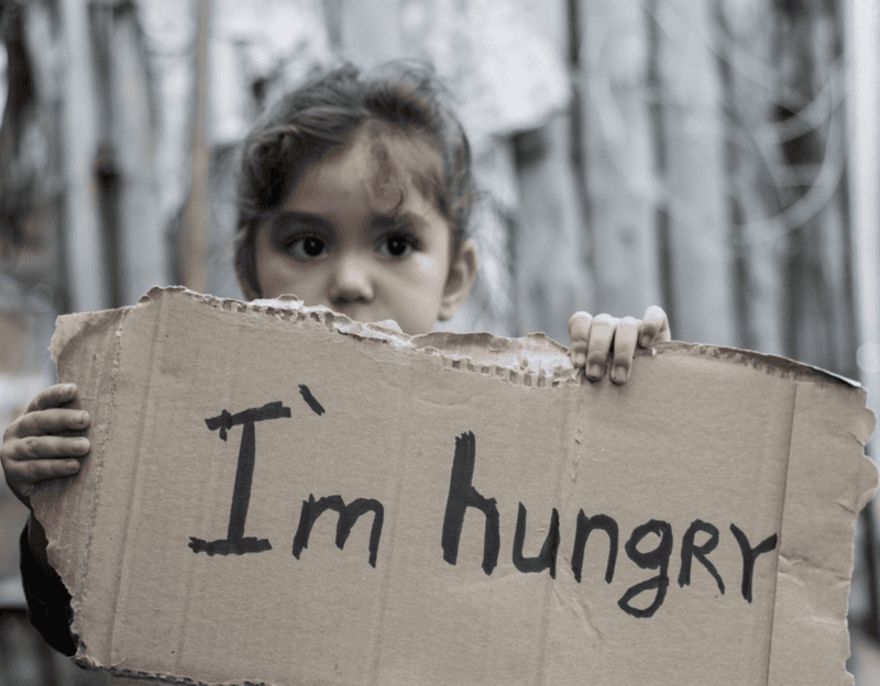 Class 9 Economics Chapter 4 Notes - Food Security in India