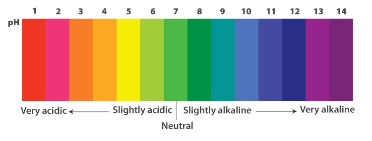 Overview: Acids, Bases and Salts | Science Class 10