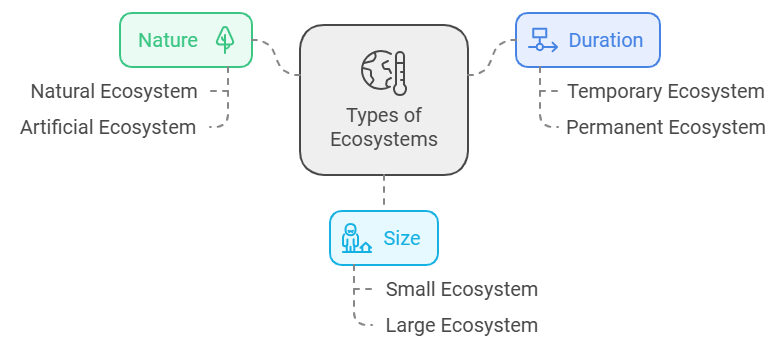 Ecosystem & Food Chain | Science Class 10